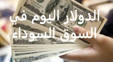 الأخضر بكام النهاردة!! .. اعرف دلوقتي سعر الدولار اليوم مقابل الجنيه المصري في البنوك
