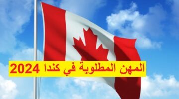 بتأشيرة مجانية.. المهن المطلوبة في كندا 2024 وكيفية وشروط التقديم برواتب عالية بالدولار