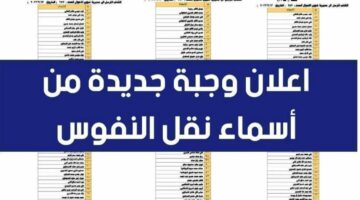 خطوات الاستعلام عن أسماء نقل النفوس بالعراق 2024 لمختلف محافظات العراق