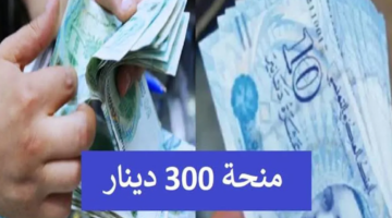وزارة الشؤون الاجتماعية التونسية تقدم منحه  300 دينار تونسي اعرف الخطوا وأهم الشروط