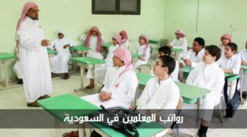 سلم رواتب المعلمين في السعودية حسب وزارة التعليم في المملكة